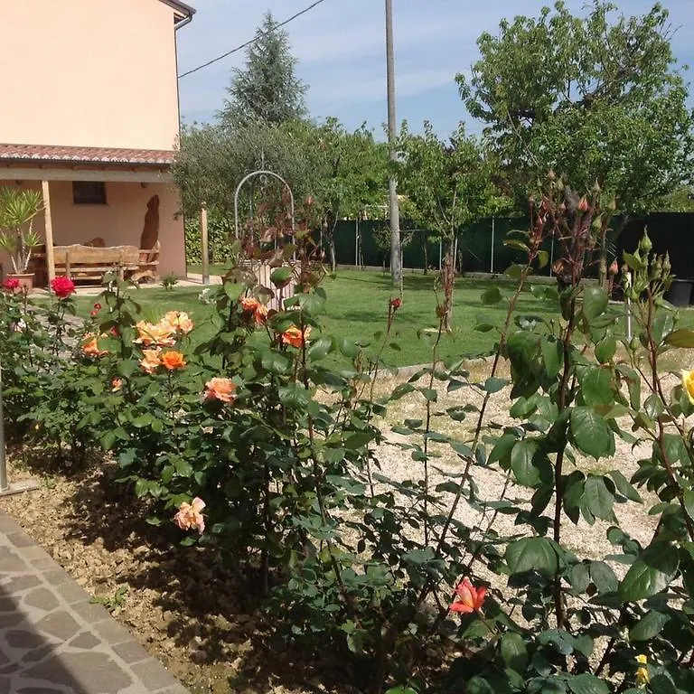 Guest house La Casa Del Ciliegio Hotel Faenza
