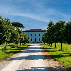 Archi Faenza